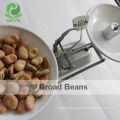 Chinese dried broad beans with export broad beans
